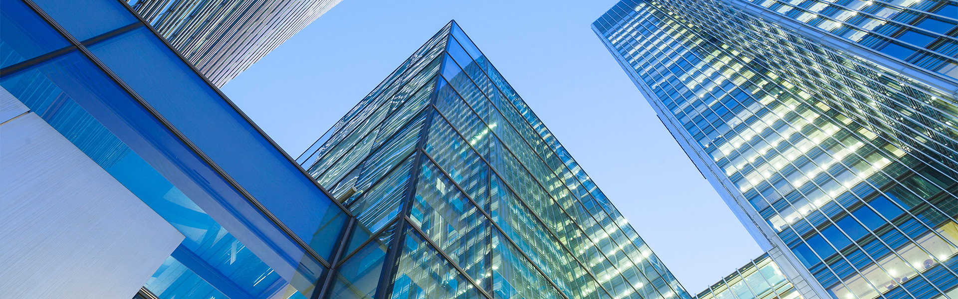 header-fachverband-seite_240408